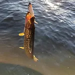 Kaszubskie Laki -domek Nr 5 Prázdninový dům Lakie (Bytow)