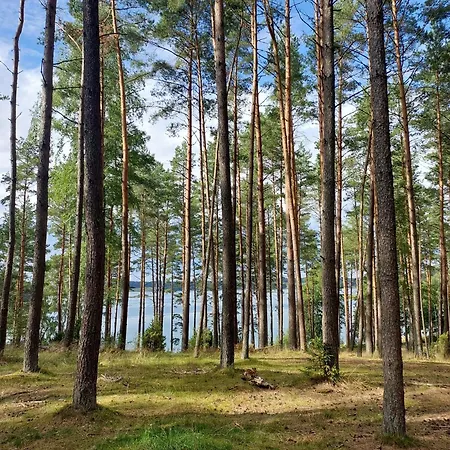 Kaszubskie Laki -domek Nr 5 Prázdninový dům Lakie (Bytow)