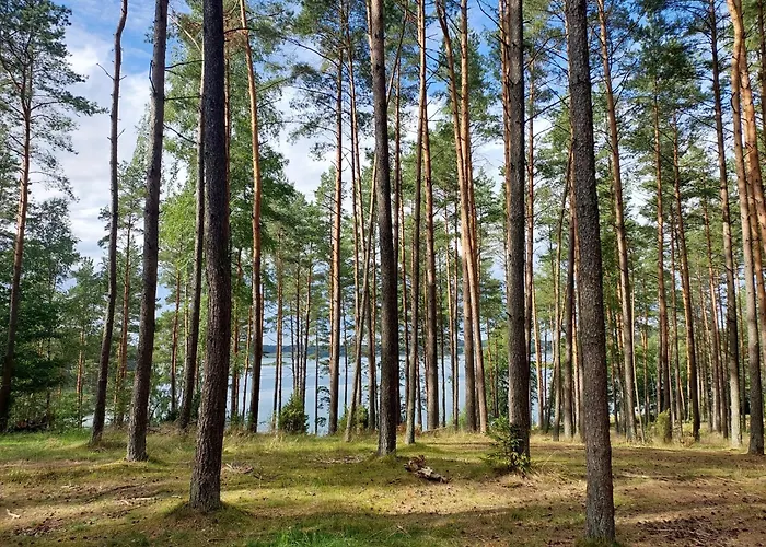 Kaszubskie Laki -domek Nr 5 Semesterbostad Lakie (Bytow)